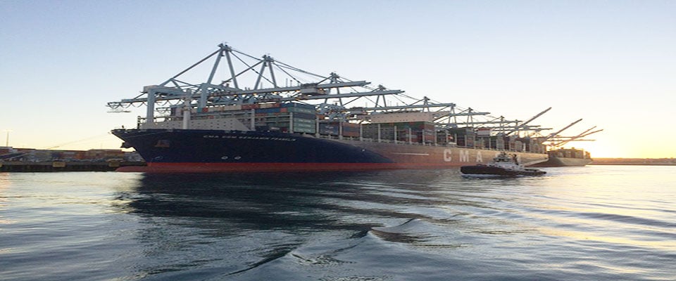 Vận chuyển (FCL/LCL) trọn gói bằng đường biển từ Brazil về Hải Phòng và ngược lại