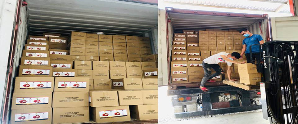 Mặt hàng thực phẩm đóng lon  vận chuyển đường biển từ Sri Lanka về Hải Phòng