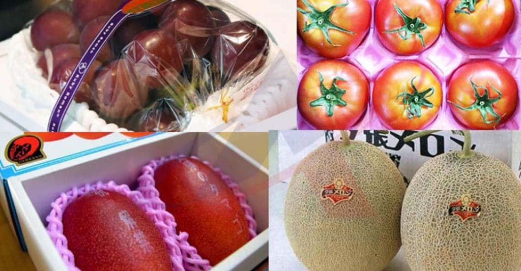 dịch vụ khai hải quan sân bay - hàng trái cây nhập từ hàn quốc
