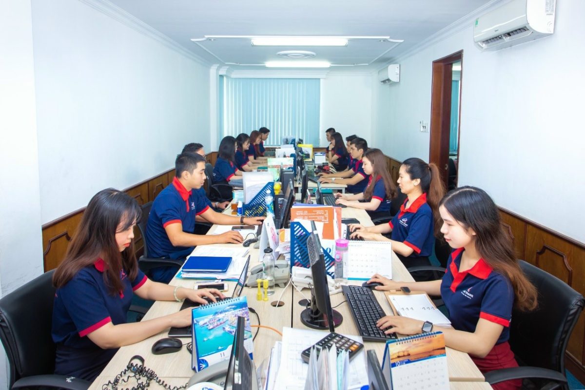 Tuyển Nhân Viên Chứng Từ Giao Nhận Khai Báo Hải Quan - Cty Vận Tải An Pha 2 tuyển nhân viên chứng từ giao nhận khai báo hải quan