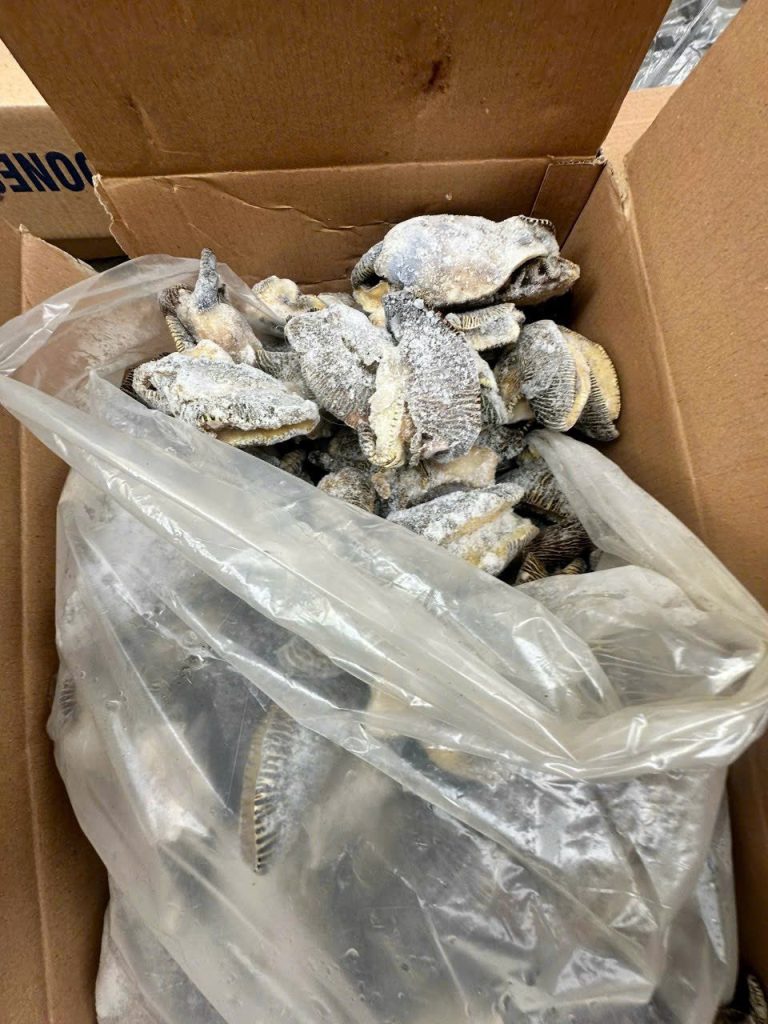 Dịch Vụ Khai Báo Hải Quan Trọn Gói - Giải Pháp Toàn Diện Cho Doanh Nghiệp Xuất Nhập Khẩu 2025 18 Dịch Vụ Khai Báo Hải Quan Trọn Gói - Giải Pháp Toàn Diện Cho Doanh Nghiệp Xuất Nhập Khẩu 2025 14