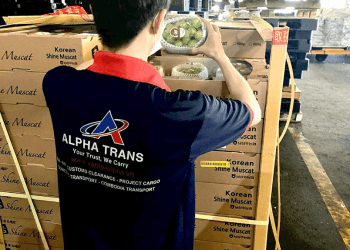 An Pha hoàn thành dịch vụ khai báo hải quan tại Hồ Chí Minh hàng trái cây