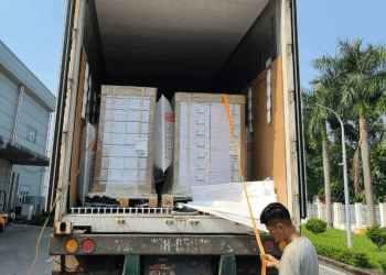 An Pha hoàn thành nhanh thủ tục khai báo hải quan nhập khẩu thuốc thú y cho khách hàng