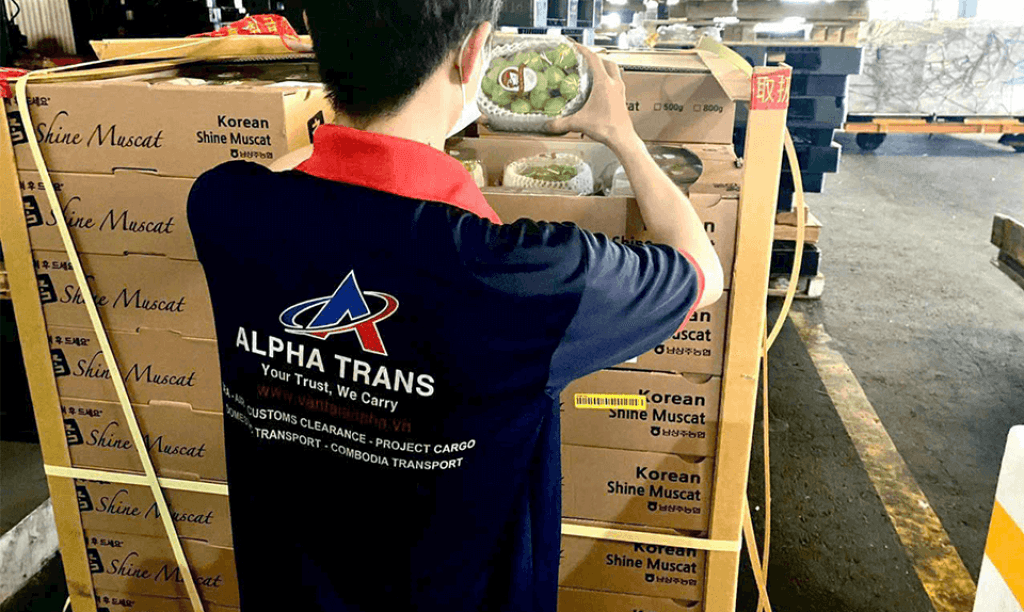 An Pha chuyên chuyển phát nhanh đi Úc hàng trái cây từ Việt Nam