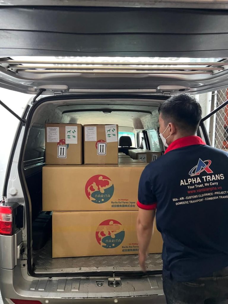 An Pha hoàn thành lô hàng nhập khẩu điện thoại bàn