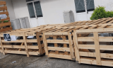 7 Lý Do Cần Thuê Dịch Vụ Khai Báo Hải Quan