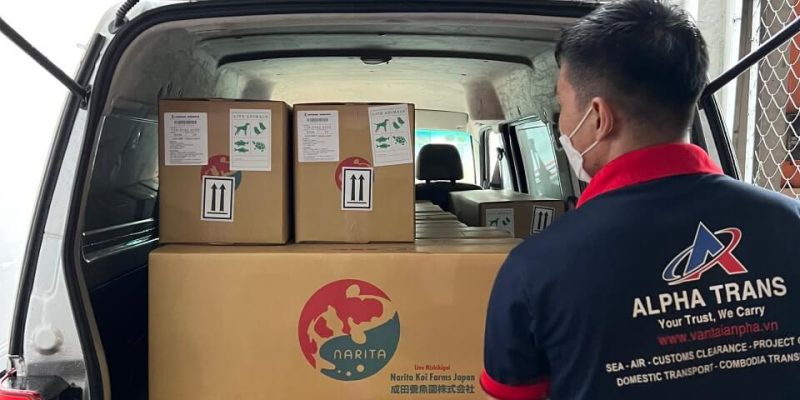 Dịch Vụ Chuyển Hàng Đi Nha Trang Giá Rẻ